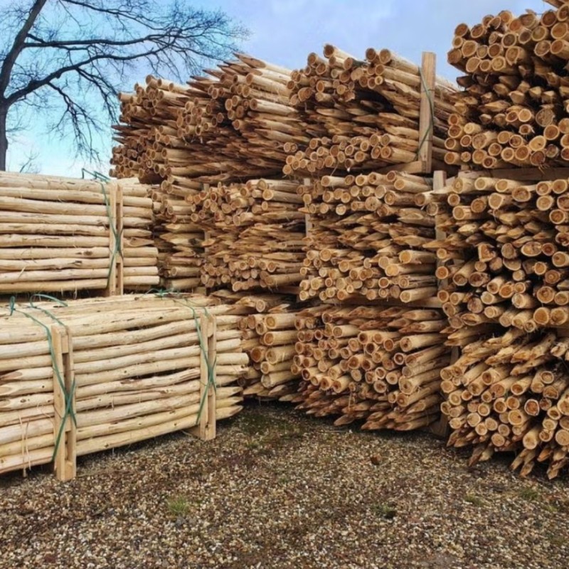 Robinia palen | keuze uit verschillende maten!