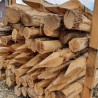 Robinia palen | keuze uit verschillende maten!
