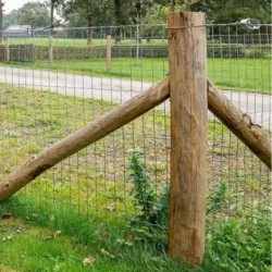Robinia palen | keuze uit verschillende maten!
